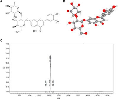 Lonicerin attenuates house dust mite-induced eosinophilic asthma through targeting Src/EGFR signaling